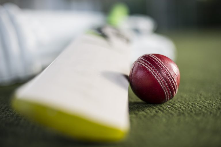 Ball at Cricket session in Harrow